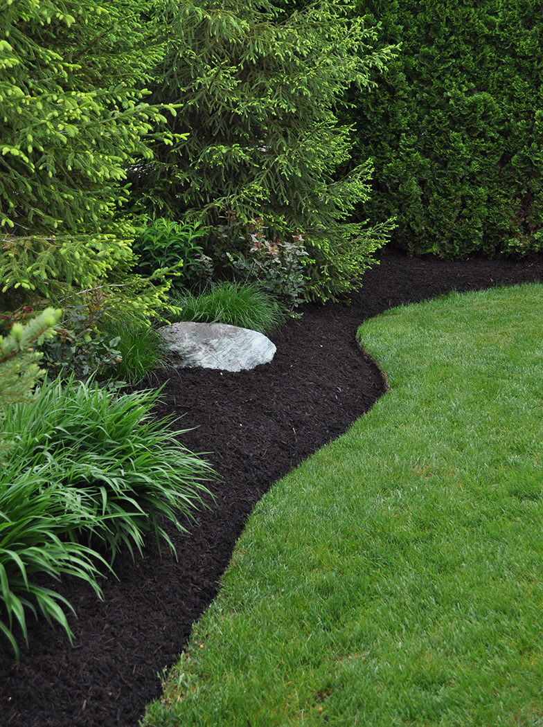 What Mulch Does for Your Landscape