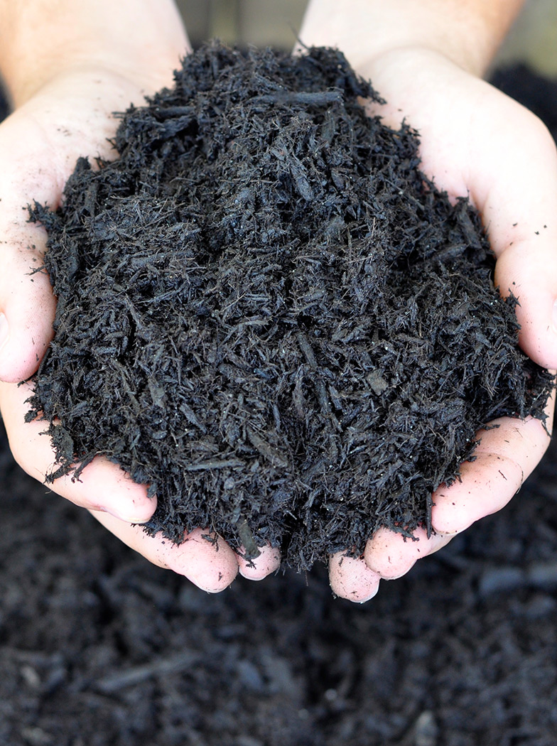 Image of Black plastic fine mulch