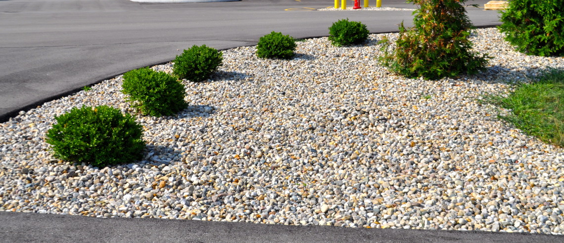 Grass Alternatives for Yard Landscaping | McCarty Mulch