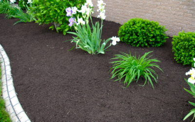 5 Tips on How to Prepare Your Home For Spring Landscaping