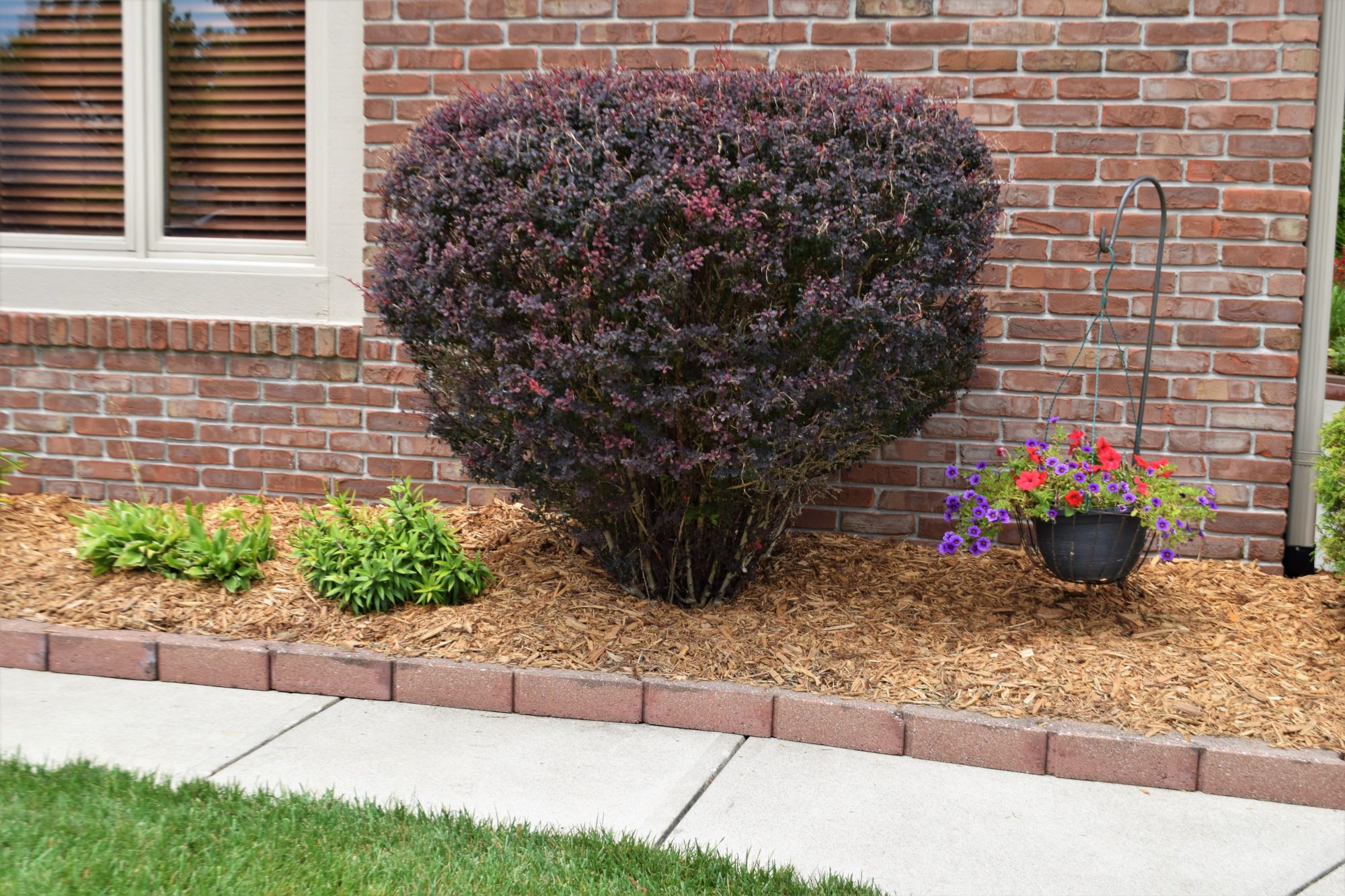 How to Mulch Around Trees and Shrubs