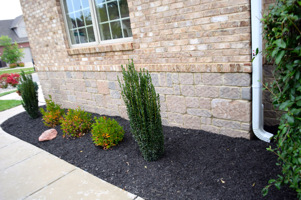 Black Colored Mulch Indianapolis Mulch McCarty Mulch