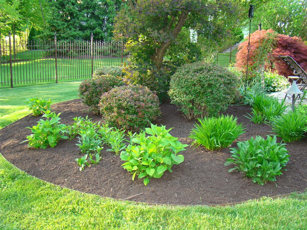 Is Dyed Garden Mulch Toxic? – EARTHeim Landscape Design Lexington Kentucky