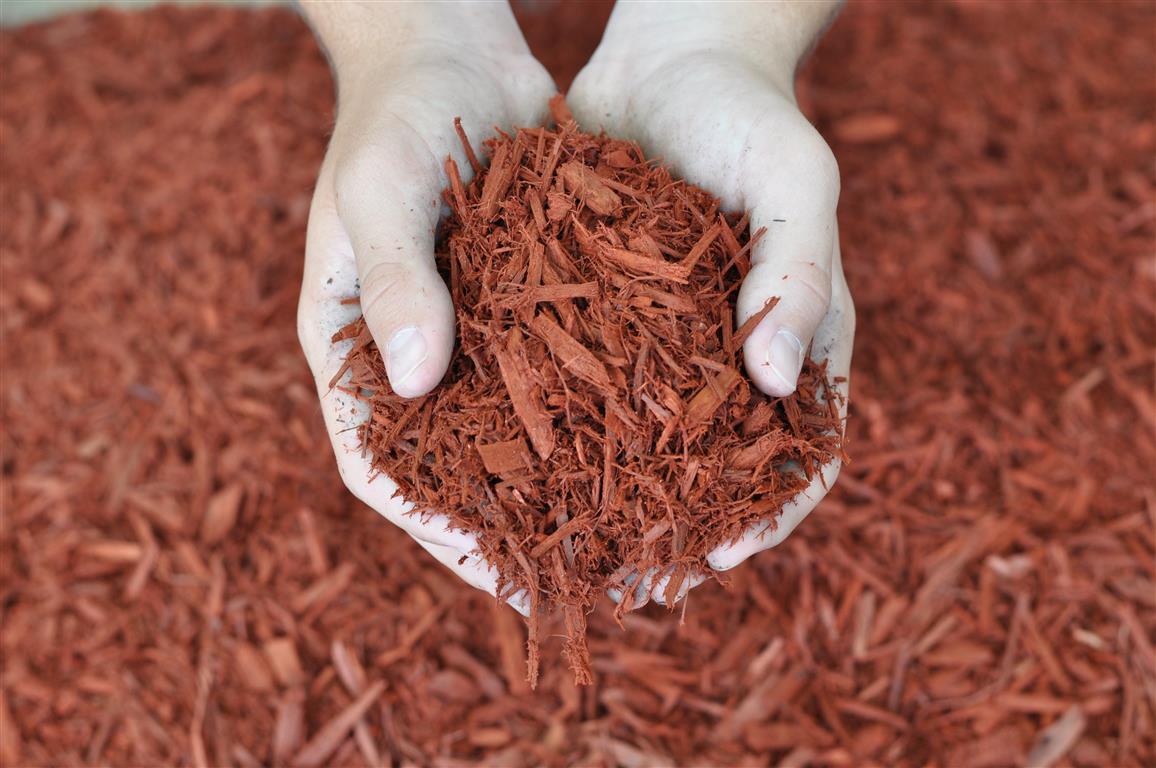 Dyed Red Mulch Bags