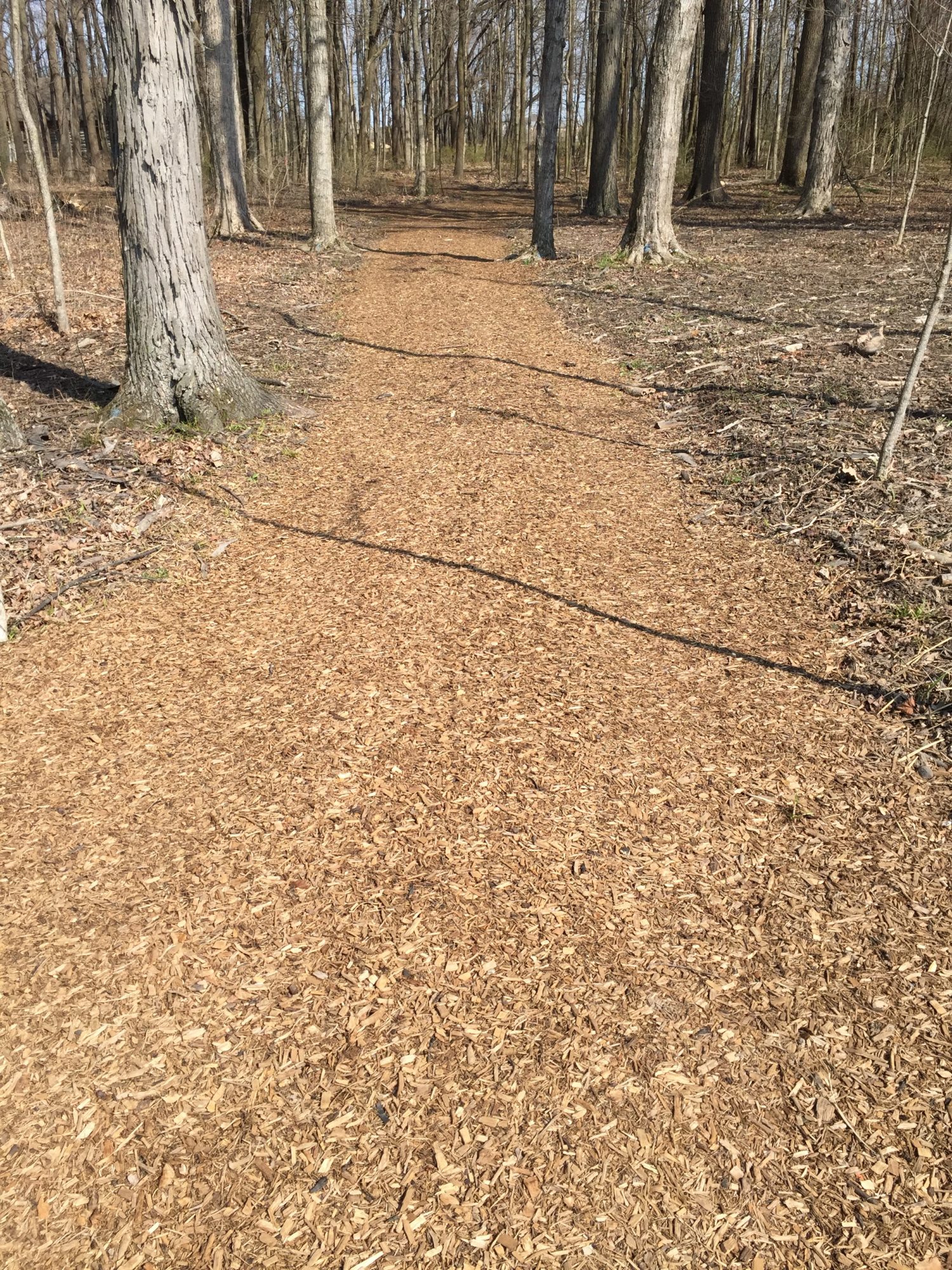 garden path - trail path