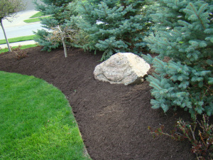 Buy Black Gold Mulch Online