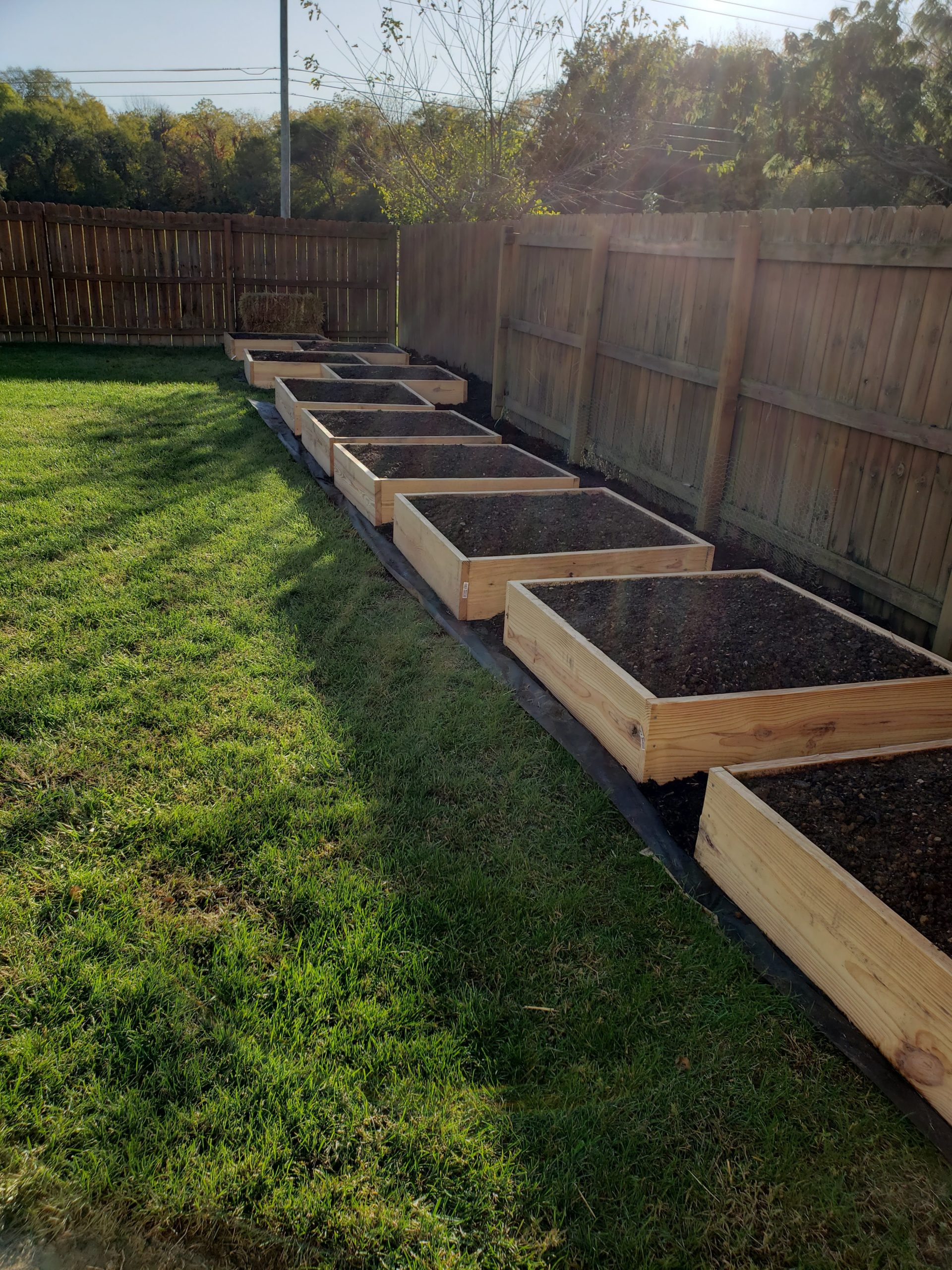 gardening beds