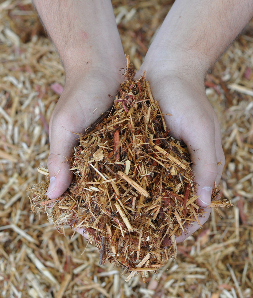 Western Red Cedar Mulch Indianapolis Mulch McCarty Mulch
