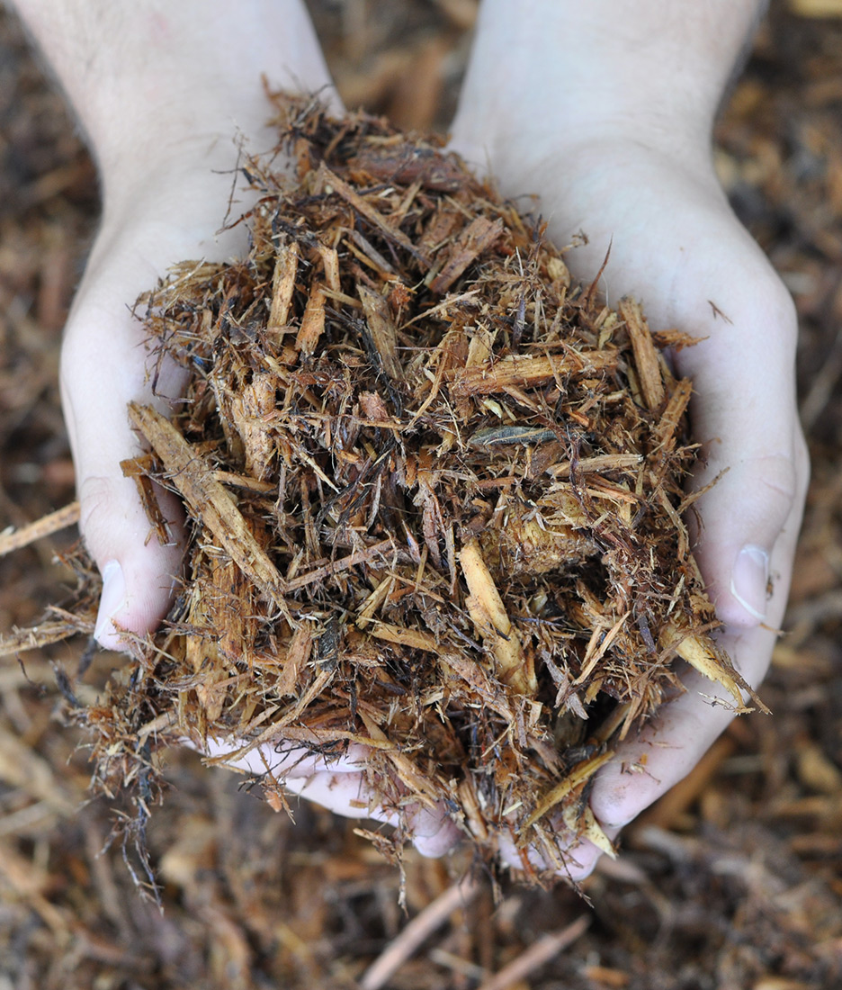 Florida Cypress Bagged Mulch Indianapolis Mccarty Florida Cypress Bagged Mulch