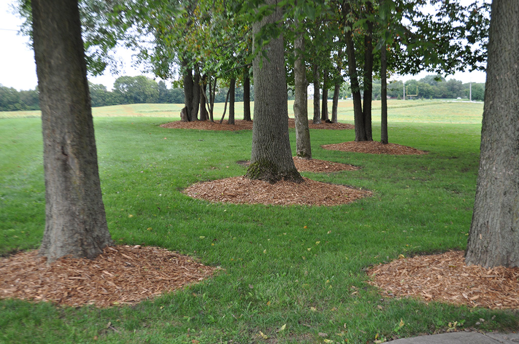 Florida Cypress Bagged Mulch Indianapolis Mulch McCarty