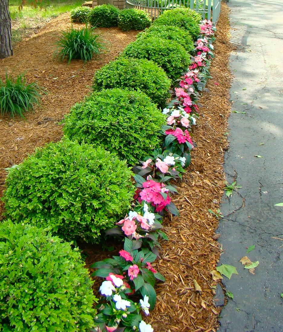 Golden Colored Mulch Indianapolis Mulch McCarty Mulch