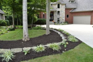 dark mulch bed