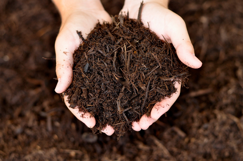 Shop Natural Bulk Mulch