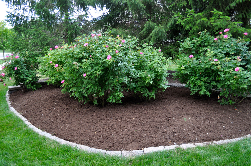 Premium Hardwood Mulch Indianapolis Mulch McCarty Mulch