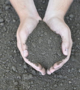 hands holding dirt