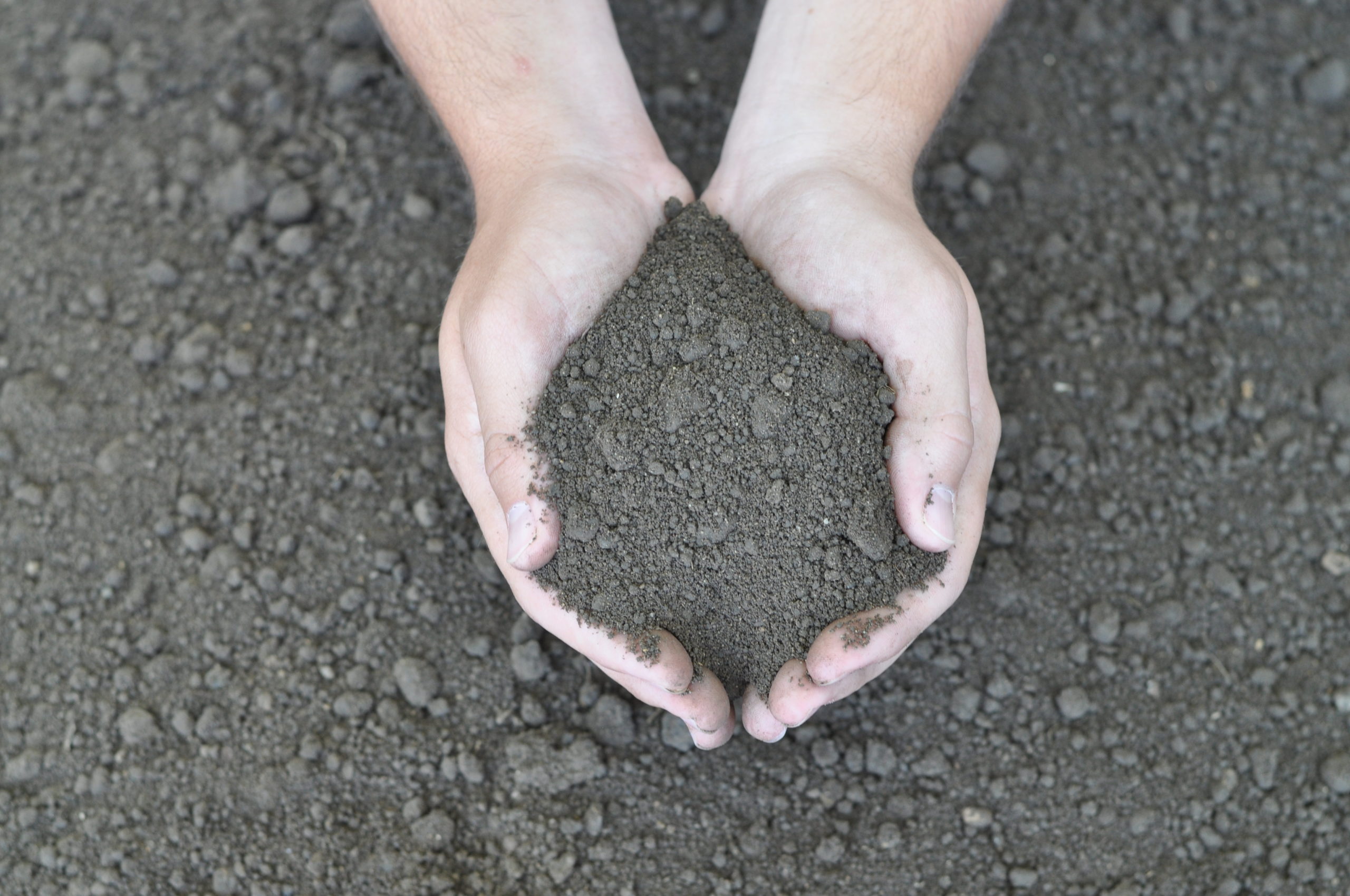 Early Spring Soil Preparation: When and How?