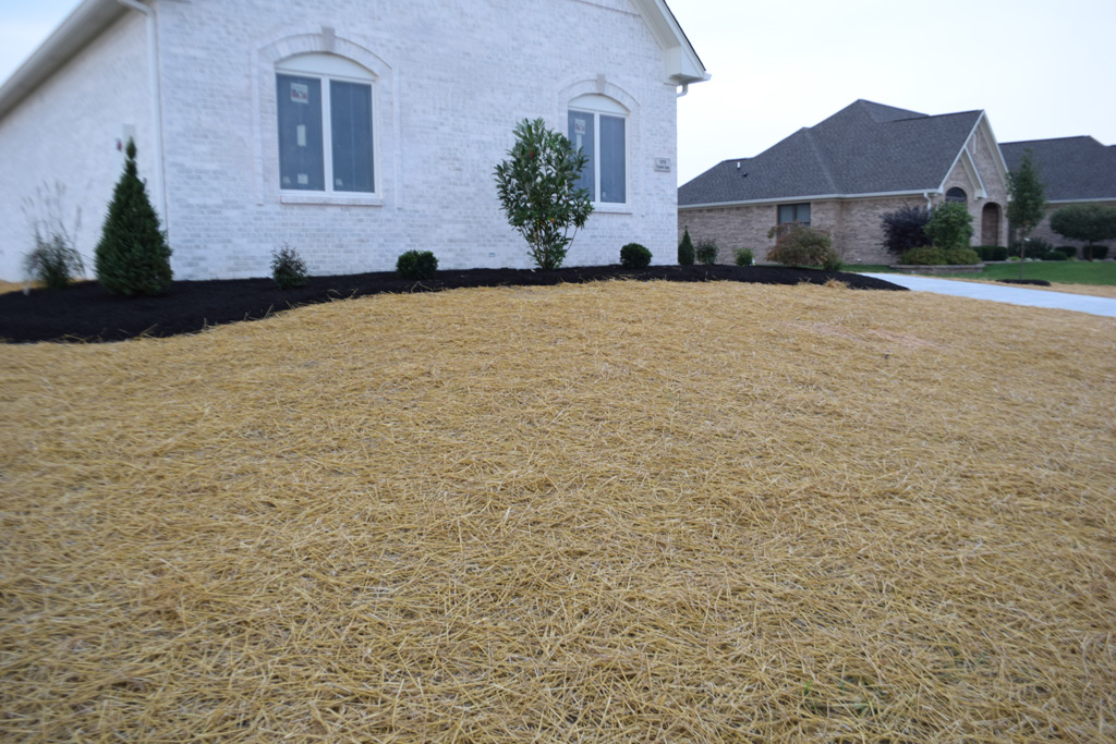 Straw Bales