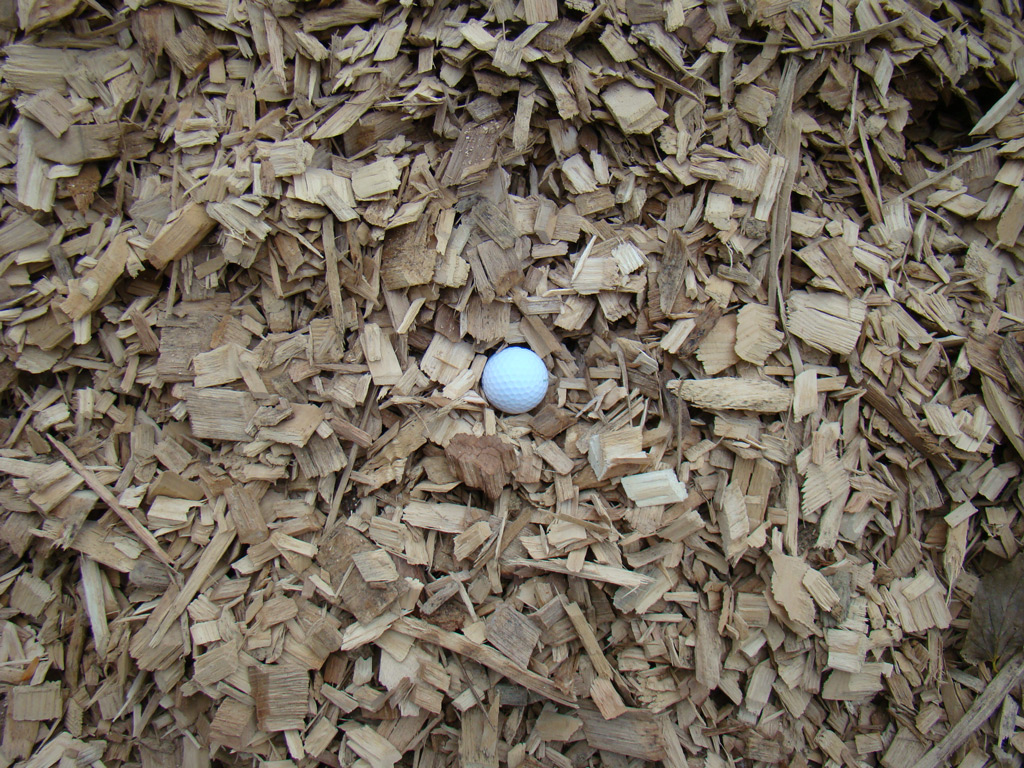 wood-chips6
