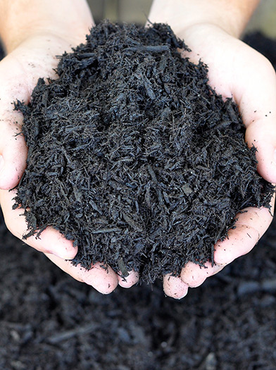 Where are some places to buy mulch in bulk?