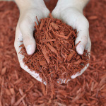 Red Dyed Mulch