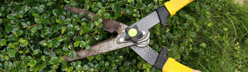 wood-recycling-2