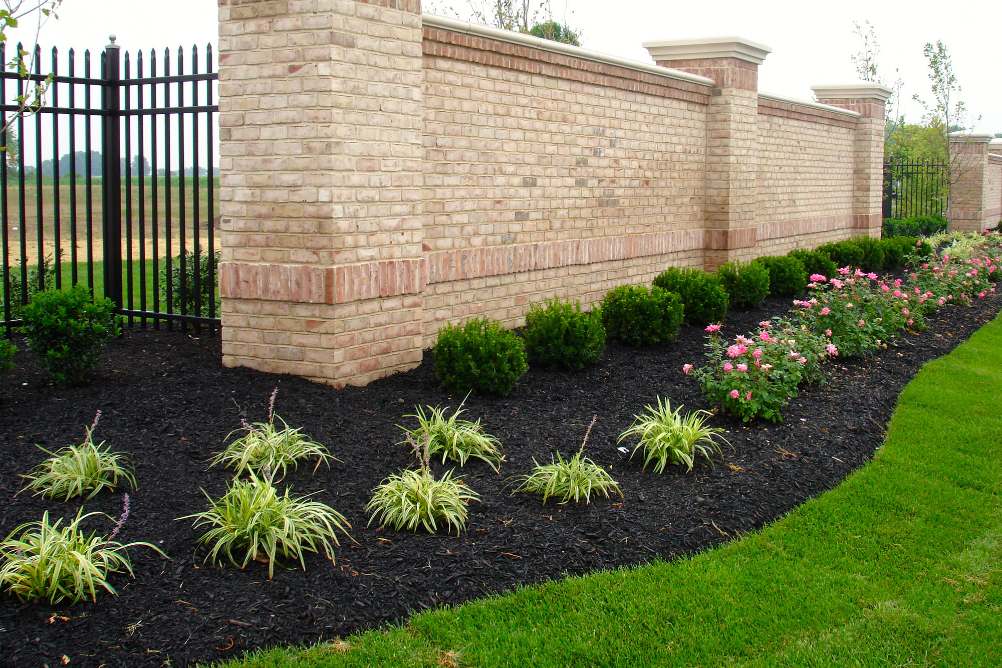 Which Type of Mulch Is Right for Your Landscape?