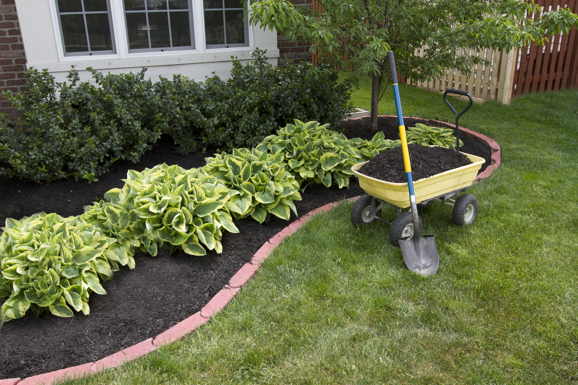 Working with Mulch: Tricks of the Trade