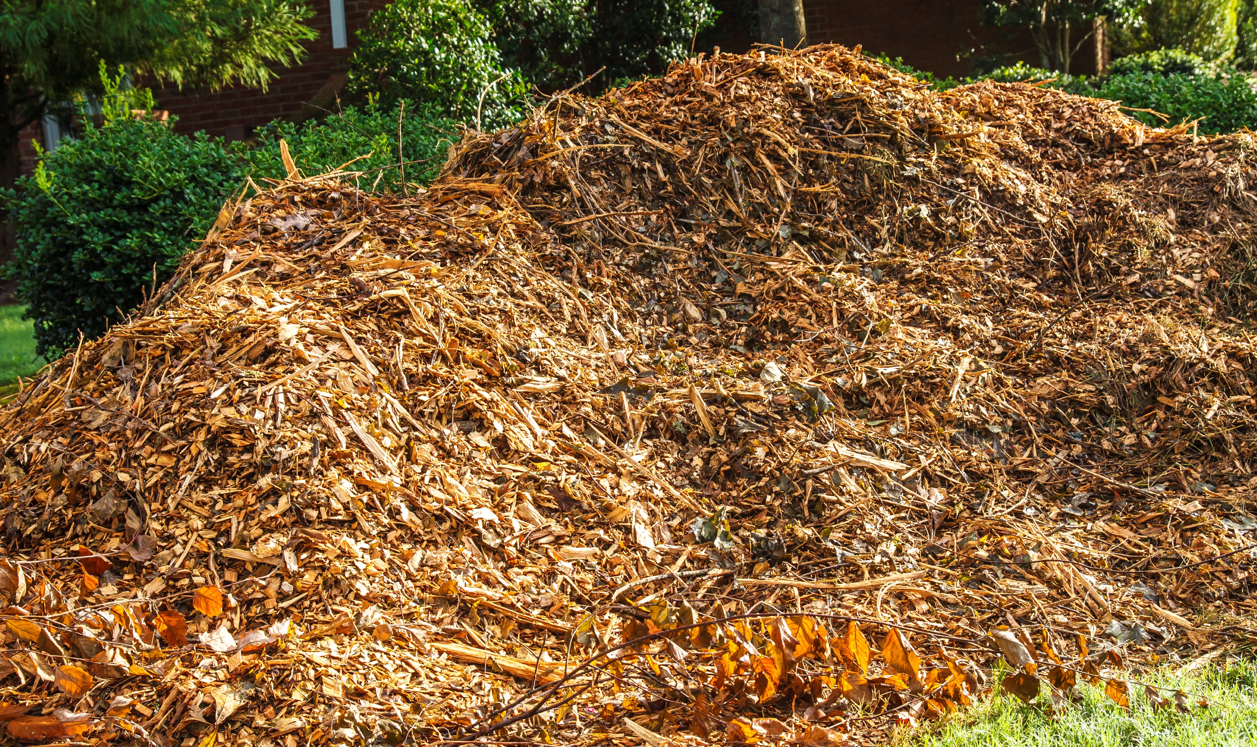 5 Ways to Use Your Leftover Mulch
