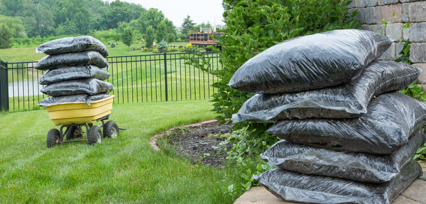 7 Things You Ought to Know About Mulch