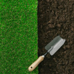 grass and dirt