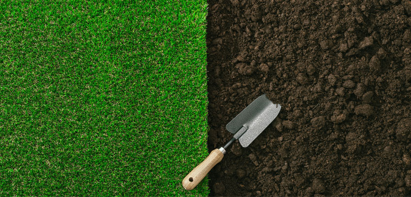 Different Types of Compost and Their Uses