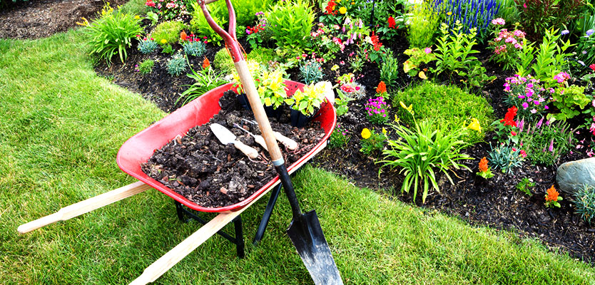 Get Your Garden In Gear For Spring Planting