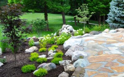 The Ultimate Guide to Perfecting Your Indiana Landscape This Summer