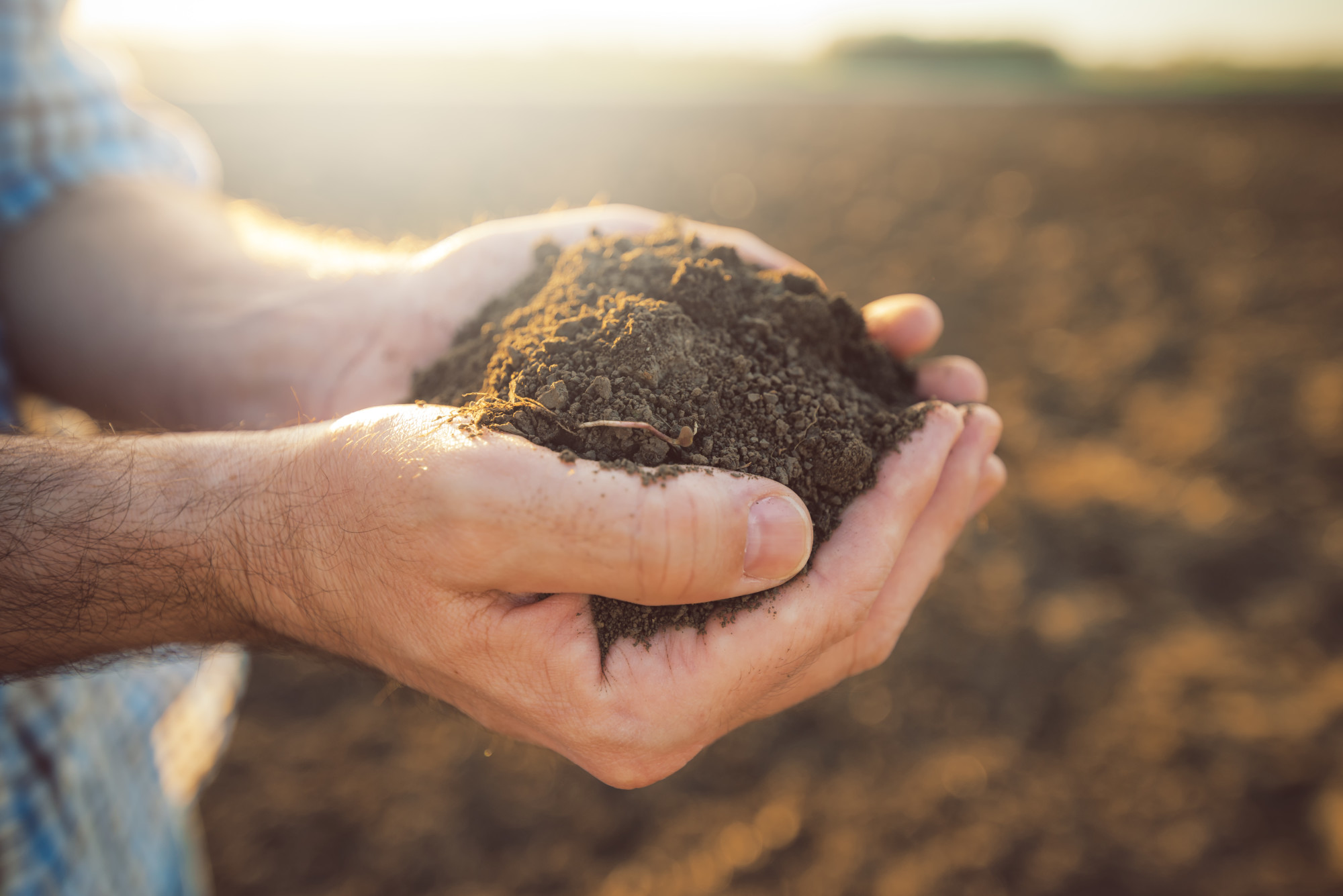 Handful of arable soil in hands of responsible farmer