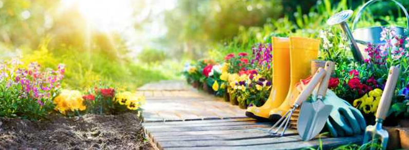 5 Ways to Use Mulch to Beat the Summer Heat