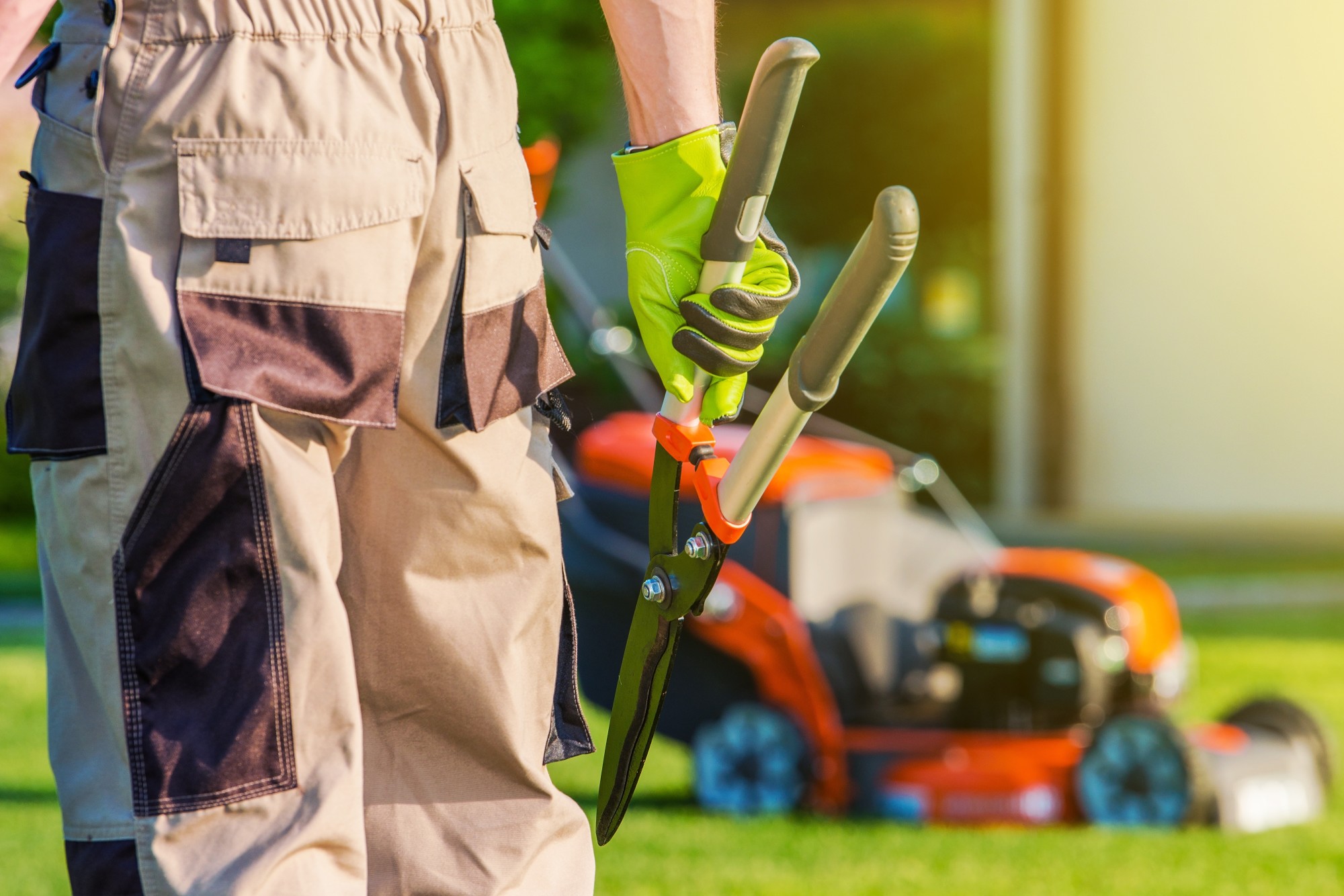 Late Summer Landscaping