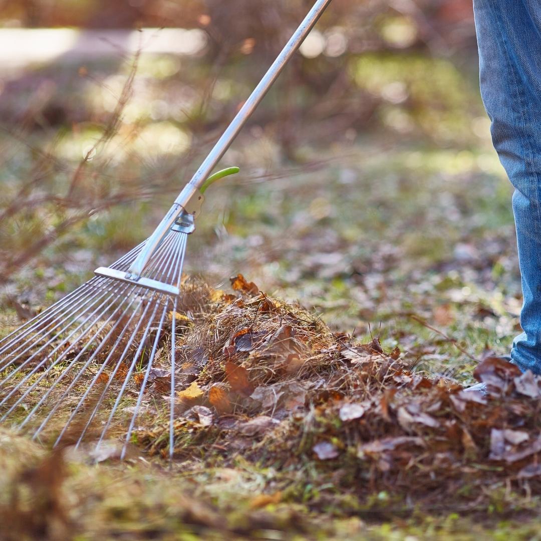 Utilize Fall Leaves in Your Garden: What You Need to Know - McCarty Mulch