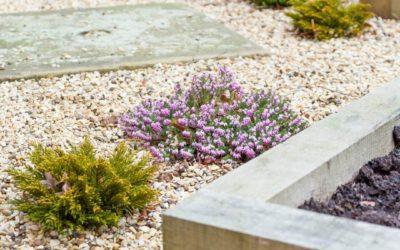 Hardscaping in the Cold: Why Fall and Early Winter Are Great Times to Install Stone Features