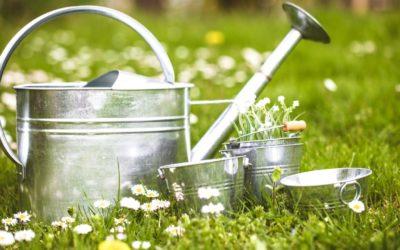 When to Start Your Spring Landscaping Projects in Indiana