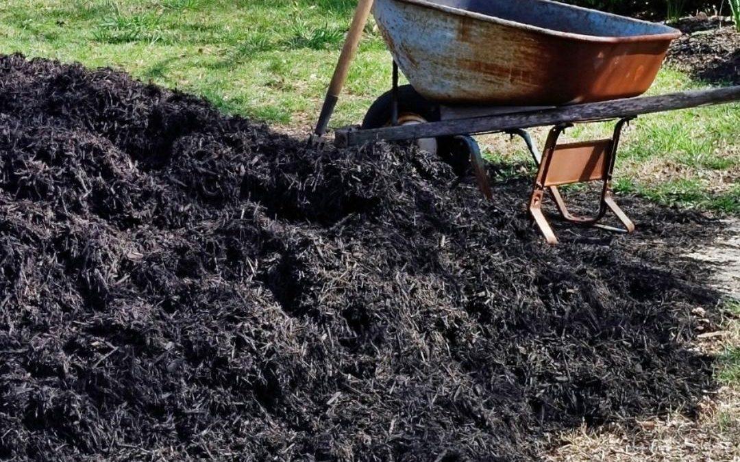 Mulch