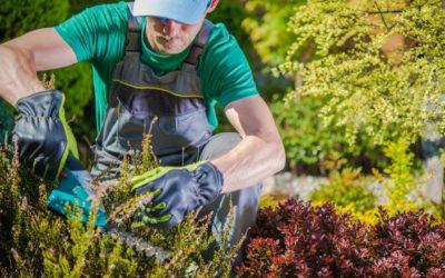 Spring Landscaping Tips for Homeowners in Indiana