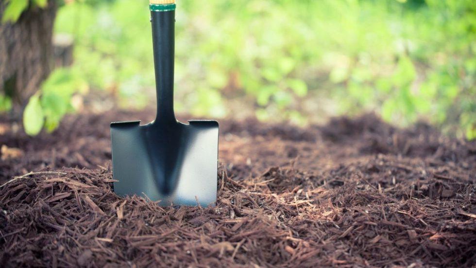 Which Type of Mulch Should I Use? McCarty Mulch