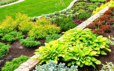 Landscaping for Heat: Best Materials for Full Sun Areas in Indiana