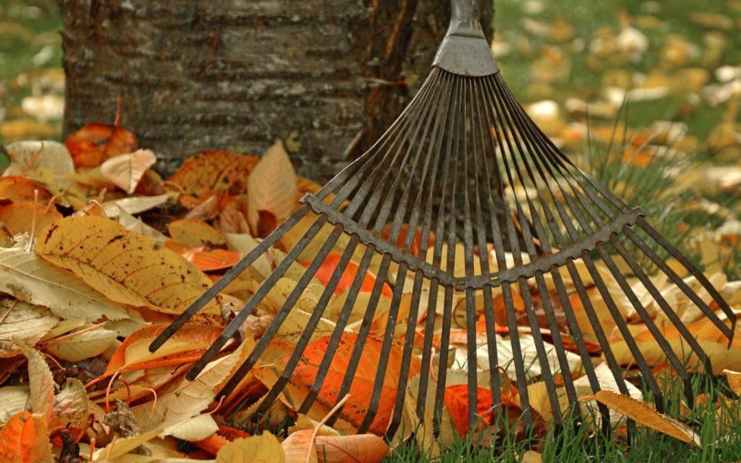 How To Prepare Your Landscape for Fall