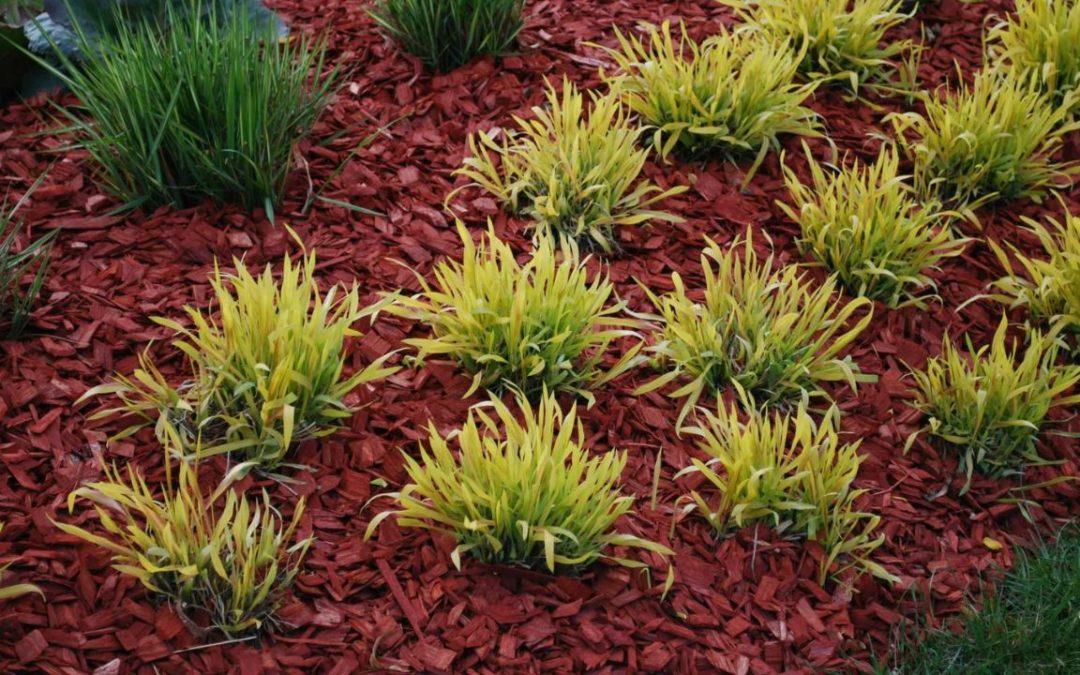 Bulk mulch