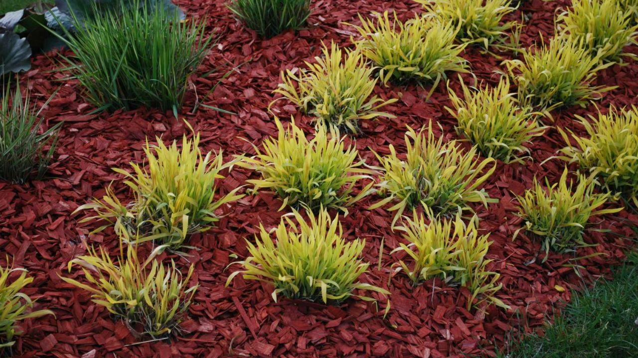 Bagged Mulch or Bulk Mulch Which is Best? McCarty Mulch