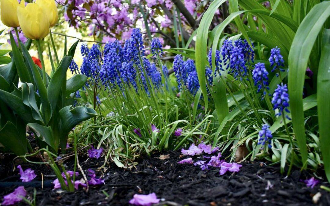 spring mulching