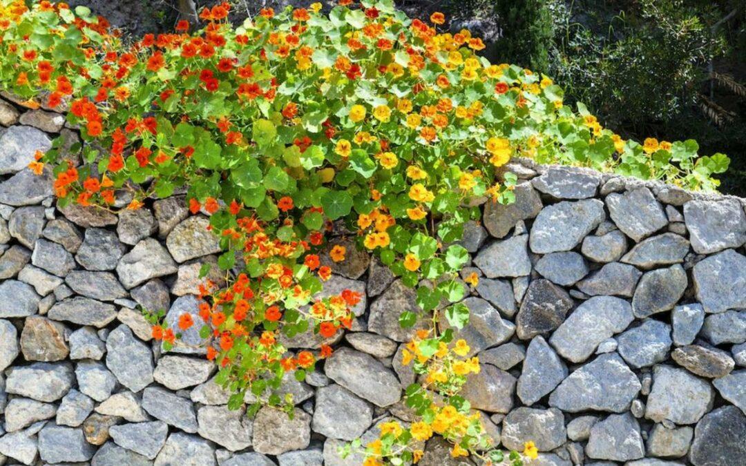 decorative stones