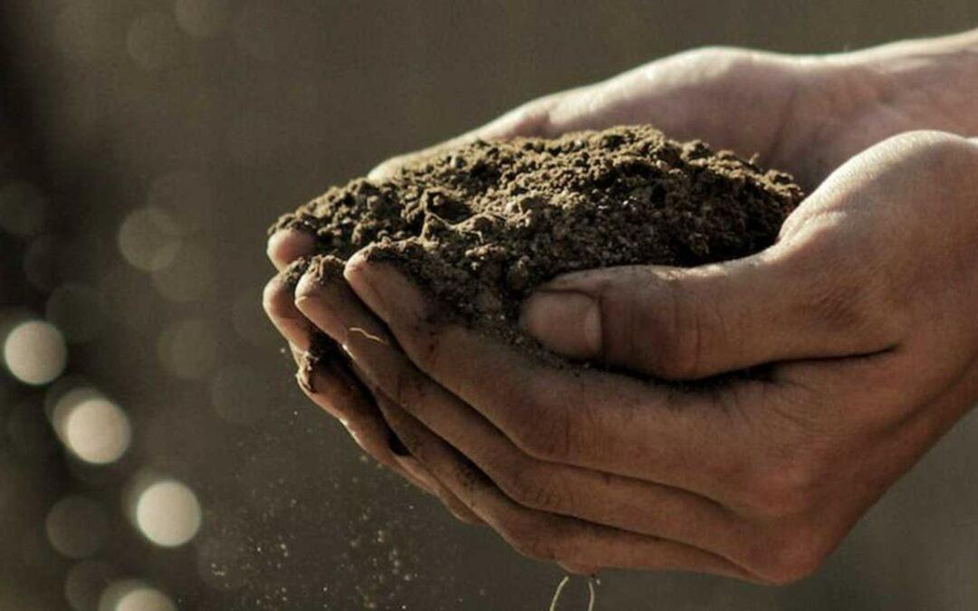 landscaping materials