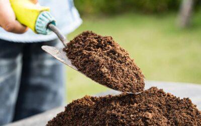 Fall and Winter Topsoil Strategies: Nurturing Your Garden Through the Chill